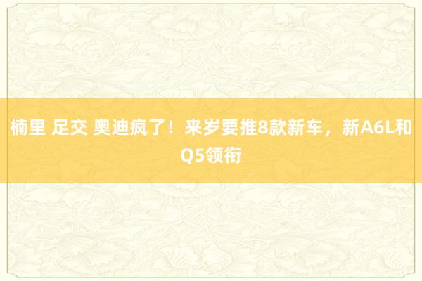 楠里 足交 奥迪疯了！来岁要推8款新车，新A6L和Q5领衔