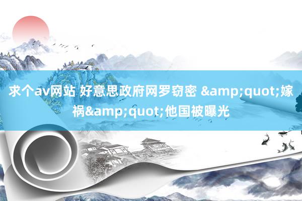 求个av网站 好意思政府网罗窃密 &quot;嫁祸&quot;他