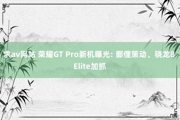 求av网站 荣耀GT Pro新机曝光: 鄙俚策动、骁龙8 Elite加抓