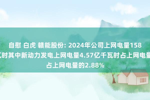 自慰 白虎 赣能股份: 2024年公司上网电量158.63亿千瓦时其中新动力发电