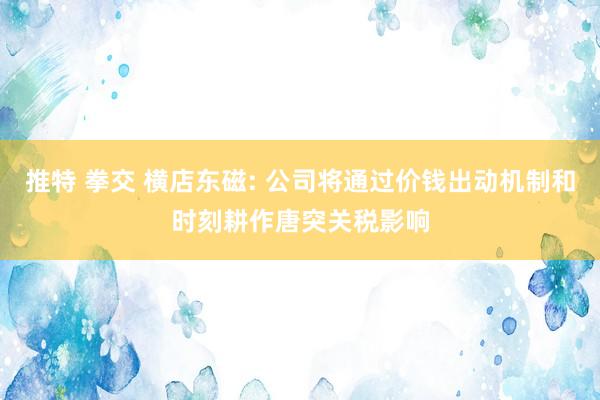 推特 拳交 横店东磁: 公司将通过价钱出动机制和时刻耕作唐突关税影响