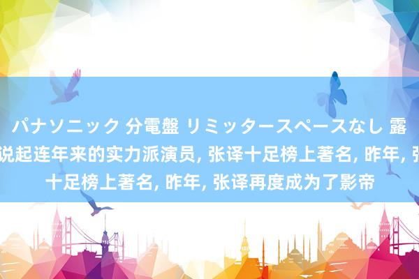 パナソニック 分電盤 リミッタースペースなし 露出・半埋込両用形 说起连年来的实